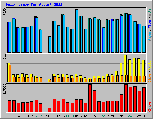 Daily usage for August 2021