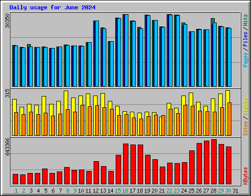 Daily usage for June 2024