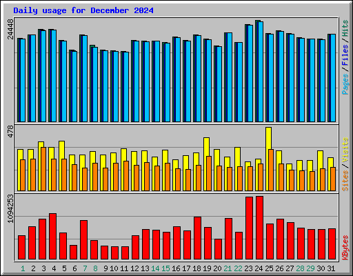 Daily usage for December 2024