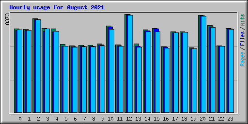 Hourly usage for August 2021