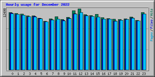 Hourly usage for December 2022