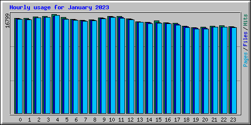 Hourly usage for January 2023