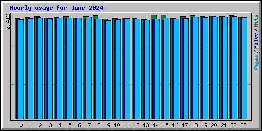 Hourly usage for June 2024