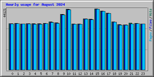 Hourly usage for August 2024