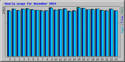 Hourly usage for November 2024