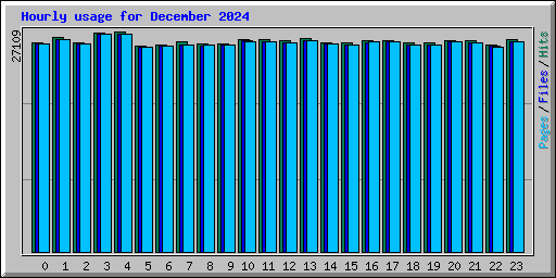 Hourly usage for December 2024