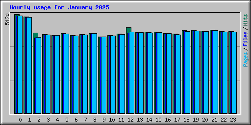 Hourly usage for January 2025